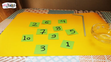 نشاط تسلسل الأرقام