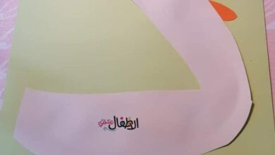 د ديك