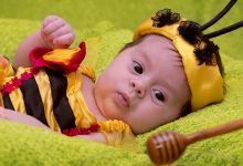 Why-Cant-Babies-Have-Honey-Plus-Answers-To-8-Common-Questions