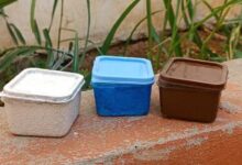 مكونات البيئة